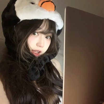 天网狼蛛