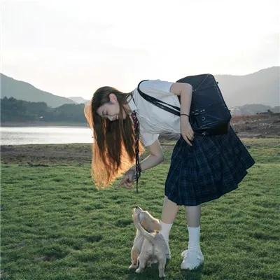 藏
